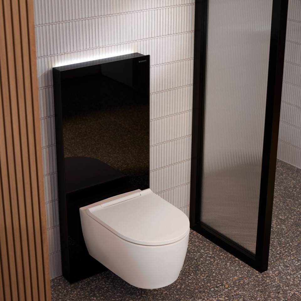 Geberit Monolith Plus sanitarni modul